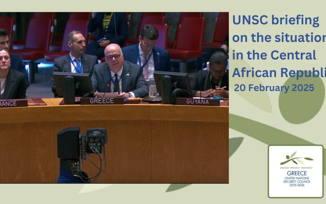 Security Council Briefing on the situation in the Central African Republic (CAR)