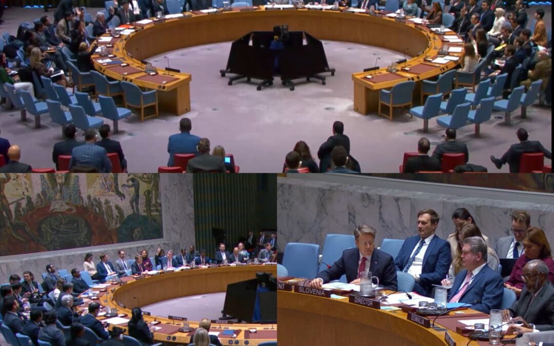 Adoption of UNSC products